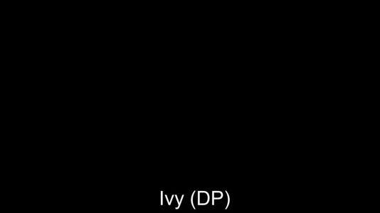 Превью Вполне доступные дырочки изумительной шкуры № 19357